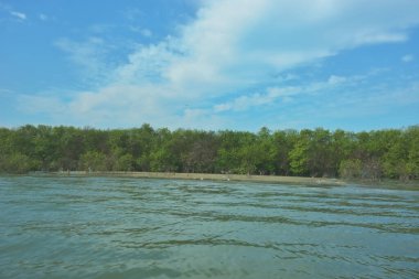 Bangladeş, Cox 's Bazar' daki Bakkhali Nehri boyunca yemyeşil mangrov ormanının geniş nehir manzarası. Yoğun yeşil ağaç hattı, hareketsiz su ve dağınık bulutlu parlak mavi gökyüzü içeren sakin tropikal bir manzara..