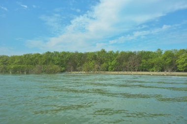 Bangladeş, Cox 's Bazar' daki Bakkhali Nehri boyunca yemyeşil mangrov ormanının geniş nehir manzarası. Yoğun yeşil ağaç hattı, hareketsiz su ve dağınık bulutlu parlak mavi gökyüzü içeren sakin tropikal bir manzara..