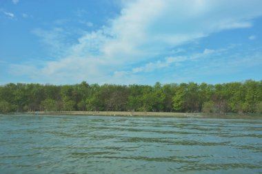 Bangladeş, Cox 's Bazar' daki Bakkhali Nehri boyunca yemyeşil mangrov ormanının geniş nehir manzarası. Yoğun yeşil ağaç hattı, hareketsiz su ve dağınık bulutlu parlak mavi gökyüzü içeren sakin tropikal bir manzara..