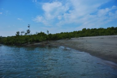 Cox 's Bazar yakınlarındaki Bakkhali Nehri boyunca akan gelgit kanalı, Bangladeş' te gün ışığında sakin su ve tropikal kıyı bitkilerini gösteriyor..
