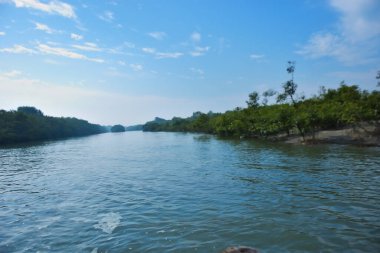 Cox 's Bazar yakınlarındaki Bakkhali Nehri boyunca akan gelgit kanalı, Bangladeş' te gün ışığında sakin su ve tropikal kıyı bitkilerini gösteriyor..