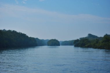Cox 's Bazar yakınlarındaki Bakkhali Nehri boyunca akan gelgit kanalı, Bangladeş' te gün ışığında sakin su ve tropikal kıyı bitkilerini gösteriyor..