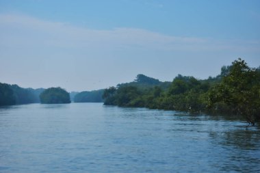 Cox 's Bazar yakınlarındaki Bakkhali Nehri boyunca akan gelgit kanalı, Bangladeş' te gün ışığında sakin su ve tropikal kıyı bitkilerini gösteriyor..