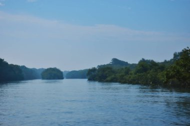 Cox 's Bazar yakınlarındaki Bakkhali Nehri boyunca akan gelgit kanalı, Bangladeş' te gün ışığında sakin su ve tropikal kıyı bitkilerini gösteriyor..