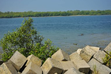 Tropikal sahil şeridi boyunca kısmen sular altında kalmış Kaya