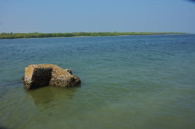 Kısmen sular altında kalan kayalar tropikal bir kıyı şeridi boyunca gelgit sularında durmakta, kıyı dokusunu, sakin manzarayı ve doğal haliçimsi ortamın sessiz dengesini göstermektedir..