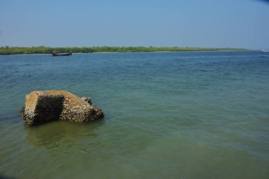 Kısmen sular altında kalan kayalar tropikal bir kıyı şeridi boyunca gelgit sularında durmakta, kıyı dokusunu, sakin manzarayı ve doğal haliçimsi ortamın sessiz dengesini göstermektedir..