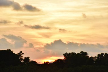 Renkli günbatımı ve bulutlu gökyüzü ve akşamları ağaçlarla.