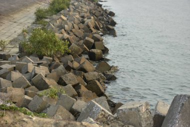 Büyük beton bloklar, sakin bir nehir kıyısı boyunca koruyucu bir set oluşturuyor. Mühendislik ürünü kıyı şeridi yapısı erozyonu önlemeye yardımcı olur ve açık bir gökyüzü altında nehir kenarını dengeler..