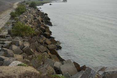 Büyük beton bloklar, sakin bir nehir kıyısı boyunca koruyucu bir set oluşturuyor. Mühendislik ürünü kıyı şeridi yapısı erozyonu önlemeye yardımcı olur ve açık bir gökyüzü altında nehir kenarını dengeler..