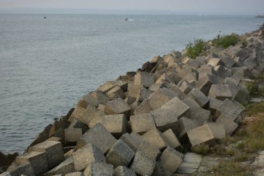 Beton Riprap Blokları Nehir Kıyısı Sahil Hattı 'nı Koruyor