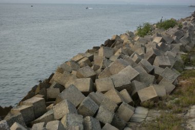 Beton Riprap Blokları Nehir Kıyısı Sahil Hattı 'nı Koruyor