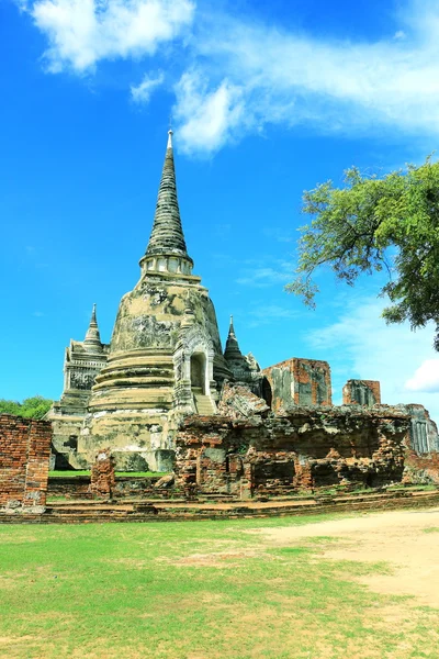 Stu pa de Ayutthaya — Fotografia de Stock