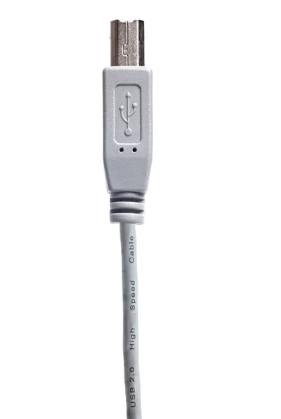 Cabo Usb Cinza Isolado Fundo Branco — Fotografia de Stock