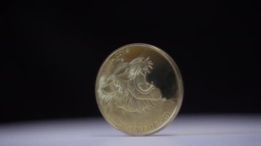 Aslan ile Titan yarım bitcoin