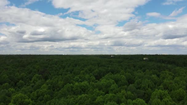 Vista Aérea Floresta — Vídeo de Stock