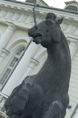 Moskova 'nın merkezindeki Manezhnaya Meydanı' nda at heykeli.