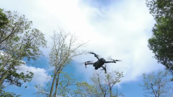 Drönare flyger i skogen mot blå himmel — Stockvideo