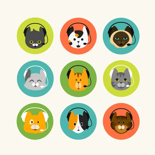 telefon kulaklık ile kedi