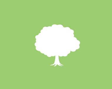 Bu bir ağacın gölgesinin çizimi..