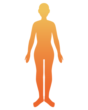 Bu, insan vücudunun rengarenk bir çizimi..