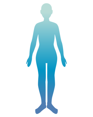 Bu, insan vücudunun rengarenk bir çizimi..