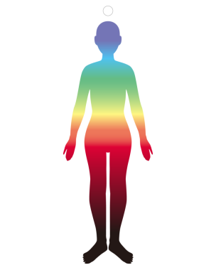 Bu yedi çakranın bir resmi..