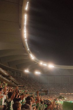 Sevilla Betis La Cartuja Stadyumu