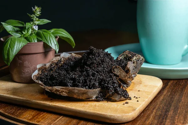 Pandulce, conchas ve kahve ile Meksika kahvaltısı.