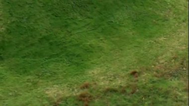 Yuvarlanan Yeşil Tepe Çayırı