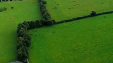 Hedgerow Sınırlı Hava Haritası Yeşil Alanlar