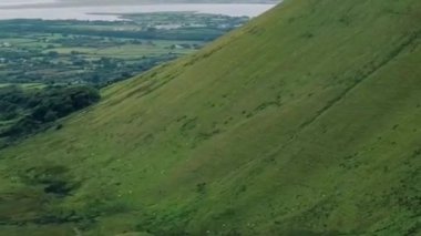Dik Yeşil Tepe Sahil Ovası ve Estuary