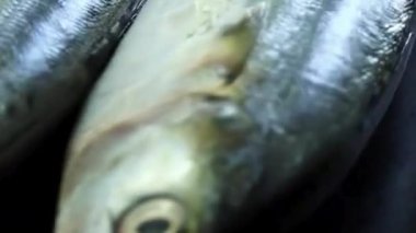 Taze Gümüş Balık Deniz Ürünleri Pazarında Yakın Çekim