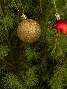 Fir tree branches with Christmas balls