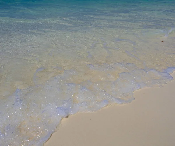 Muhteşem Hint Okyanusu Maldivler 'deki beyaz kumsal