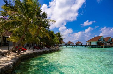 Ellaidhoo, Maldivler 'deki sahilde su ve palmiye ağaçlarının üzerinde küçük, rahat bir bungalov.