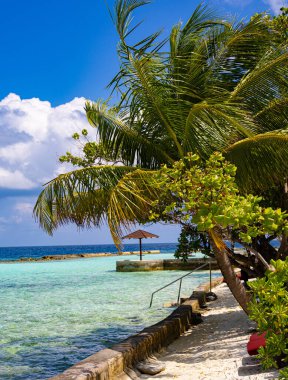 Beyaz kumsalda şemsiyesi olan bir ada ve Maldivler 'de Hint Okyanusu yakınlarında palmiye ağaçları.