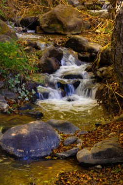 Kıbrıs Rum Kesimi 'nin Kakopetria köyündeki ağaçlar arasında küçük Troodos dağ nehrinde şelale