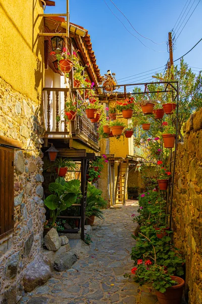 Narrow stone street with many flowers in pots in village Kakopetria, Cyprus