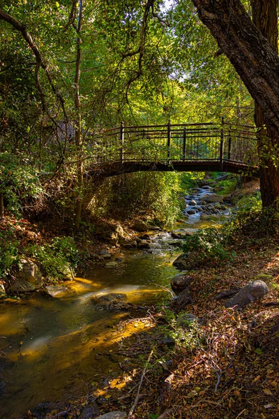 Kıbrıs Rum Kesimi 'nin Kakopetria köyündeki ağaçlar arasında küçük Troodos dağ nehrinin altındaki köprü