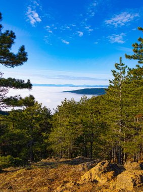 Sırbistan 'ın dağlık ormanlarındaki bulutlara bak