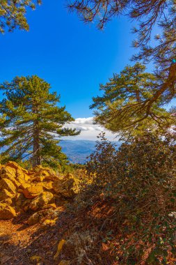 Kıbrıs Rum Kesimi 'nin Troodos dağları ve ormanı üzerindeki hava manzarası