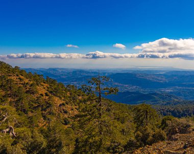 Kıbrıs Rum Kesimi 'nin Troodos dağları ve ormanı üzerindeki hava manzarası