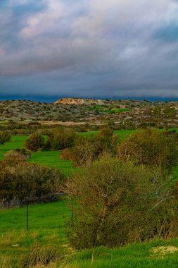 Kıbrıs 'ta kış, düşük fırtınalı bulut, yağmur, parlak yeşil cam, gün batımı ışığı altında sarı ağaçlar
