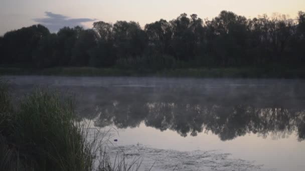 令人惊奇的是 在寒冷的清晨 湖水清澈多雾 背景绿树成荫 Kzlrmak是土耳其最长的河流 — 图库视频影像