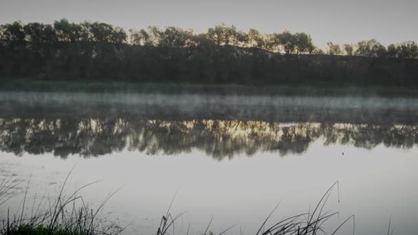 中世の漁師が驚くほど美しい流線型と霧の多い湖で午前中に魚を狩りしようと帽子をかぶって釣り Kzlmarkはトルコで最も長い川です — ストック動画