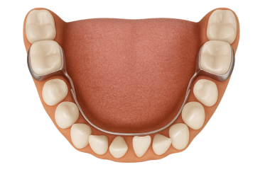 Alt diş kemerinin (çene kemiği) oklüzyon (yukarıdan aşağıya) görünümü)