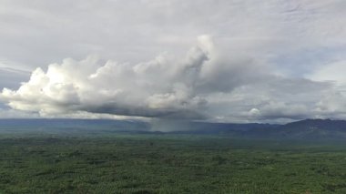 Petrol palmiyesi tarlalarının köşesinde yağmur suyu akan bulutlar.
