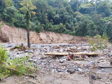 Su baskınından kalan odun parçaları