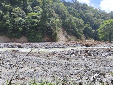 Su baskınından kalan odun parçaları